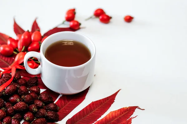 Una Taza Blanca Rosa Mosqueta Sobre Una Superficie Blanca Junto — Foto de Stock