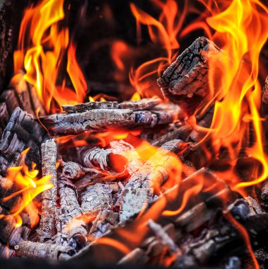 Ateşte yanan bir ağacın kalıntıları. Yangın riski, soyut arkaplan