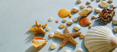 Düz yatay seyahat, birçok küçük deniz kabuğu ve deniz yıldızının güzel bir arka planı ve uzayın bir kopyası.