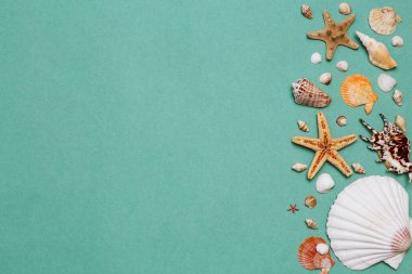 Düz yatay seyahat, birçok küçük kabuk ve deniz yıldızının güzel bir arka planı, dokulu bir kağıtta uzayın bir kopyasıyla birlikte.