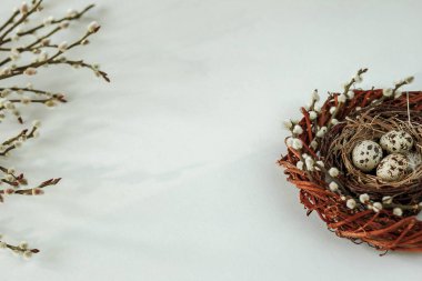 Keklik yumurtalı ve söğüt dallı yuva. Boşluğun bir kopyasıyla Paskalya kompozisyonu