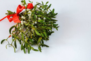 Beyaz arka planda kırmızı kurdeleyle bağlanmış böğürtlenli sonsuz yeşil ökseotu dalları. Noel konsepti