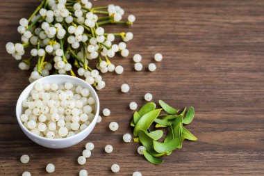 Ökseotu meyvesi ve ağaç bir yüzey üzerinde ebediyen yeşil beyaz ökseotu dalları olan bir kap.