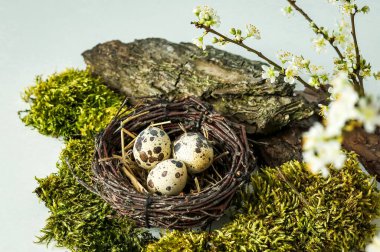 Paskalya dekoratif kompozisyonu boyalı yumurtalar, çiçekli dallar