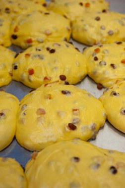 Tipik İtalyan Noel pastası panettone hazırlığı. Şekerli meyveli hamur hazır.