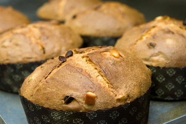 Panettone Natal Acabou Sair Forno — Fotografia de Stock