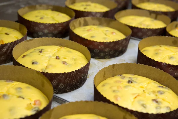 Impasto Del Panettone Prima Essere Messo Nel Fornello — Foto Stock