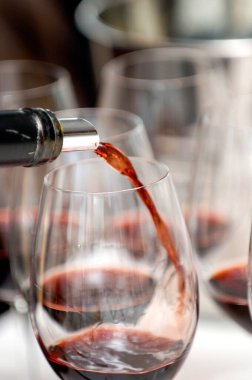 Toskana 'da kırmızı şarap tatmak ve İtalya' da Piedmont