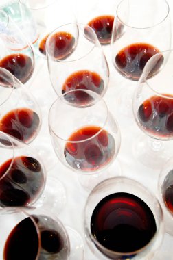 Toskana 'da kırmızı şarap tatmak ve İtalya' da Piedmont