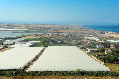Sicilya 'da Pachino domateslerinin yetiştirilmesi Pachino yakınlarındaki Portopalo di Capo Passero bölgesinde
