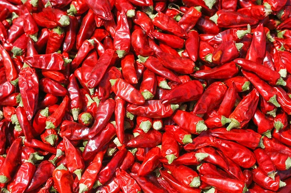 Calabrian spicy pepper for the preparation of nduja put to dry in the air