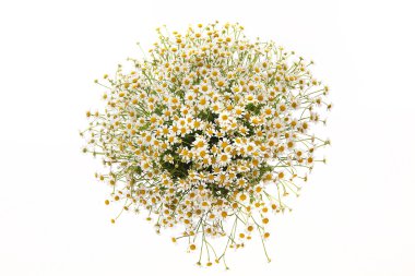 buket, çiçek, dekor,