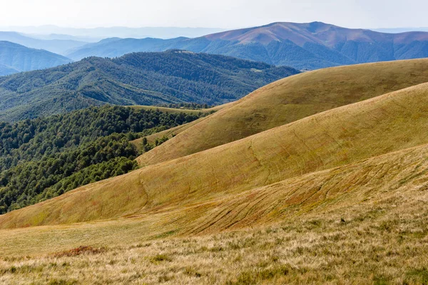 ウクライナの領土にカルパティア人。山の中で春、夏、秋。山脈と峰。空と雲。遺跡や岩。ドラゴブラットとスヴィドヴェッツ. — ストック写真