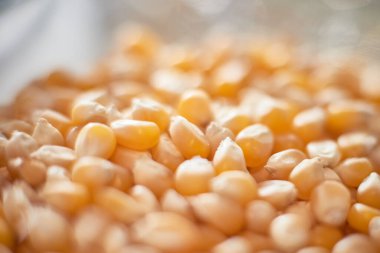 Mısır tanelerine yaklaşım fotoğrafı