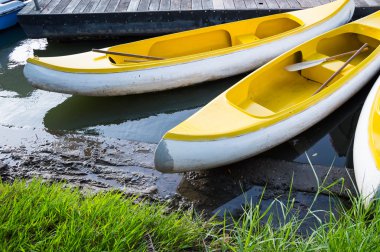 Kano bir bataklık içinde