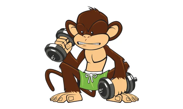 Fitness der Affen — Stockvektor