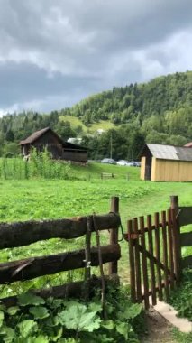 Çiftlik evinin yakınındaki yeşil çimlerin üzerindeki dağlarda bir inek