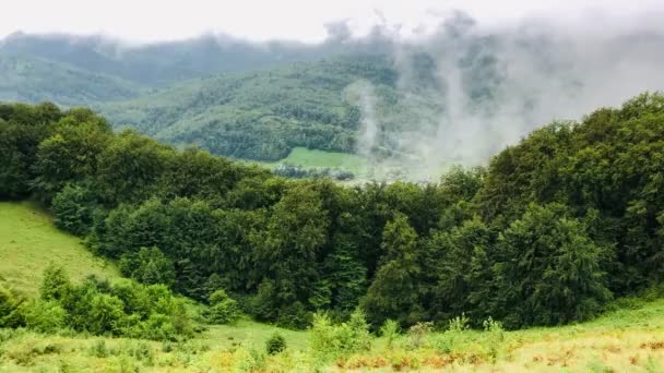 Panorama einer schönen bewölkten Landschaft in den Bergen. Wiese und Hügel. — Stockvideo