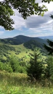 Dağlardaki güzel bulutlu manzaranın manzarası. Çimenli tarla ve tepeler.