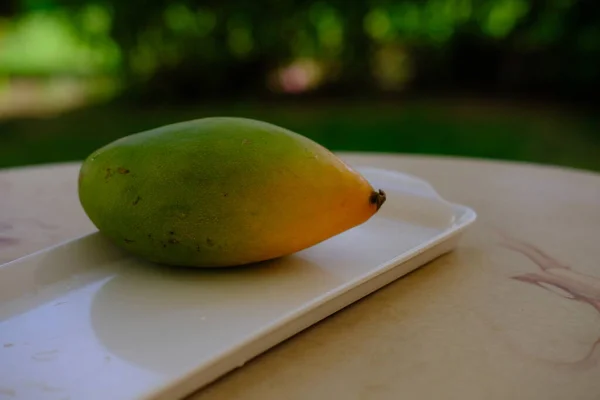 Yeşil doğal arka planda lezzetli olgun mango.
