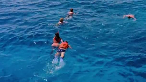 La gente nada con máscara y aletas de snorkel y chalecos salvavidas en el mar rojo — Vídeo de stock