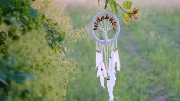 Atrapador de sueños, milagro de magia creencia a través de plumas y ganchillo arte durante el sol, influir por el viento — Vídeos de Stock