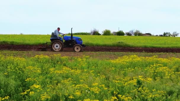 Фермер на тракторі саджає поле для подальшого посіву врожаю. Підготовка ґрунту. Робота з плугом. Вирощування овочів — стокове відео