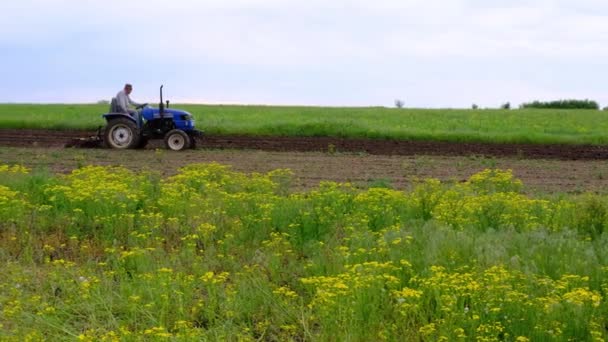 Um agricultor em um trator arado o campo para posterior semeadura da cultura. Preparação do solo. A trabalhar com um arado. Cultivo de legumes — Vídeo de Stock