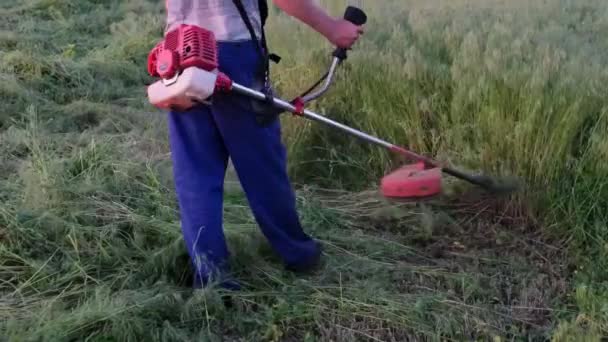 Rolnik na polu kosi trawę kosiarką elektryczną.trawa z przycinaczem motorowym na polu w letni dzień - praca sezonowa, krajobraz — Wideo stockowe