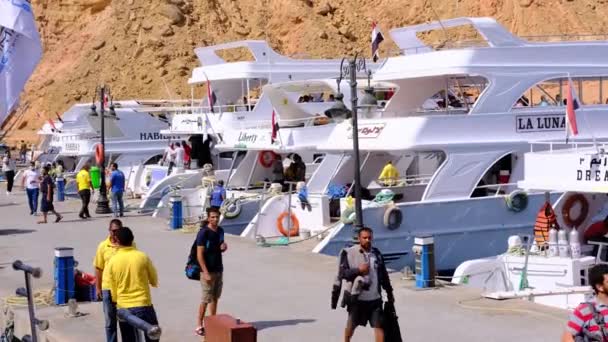 Folk går och kommunicerar i hamnen bredvid båten och de kommer till en utflykt till havet på sommaren i Egypten Sharm El Sheikh. April 2021 Högkvalitativ 4k-film — Stockvideo