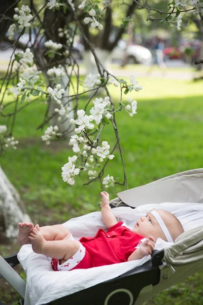 Nyfödd baby flicka under träd. Mjukt fokus Stockbild