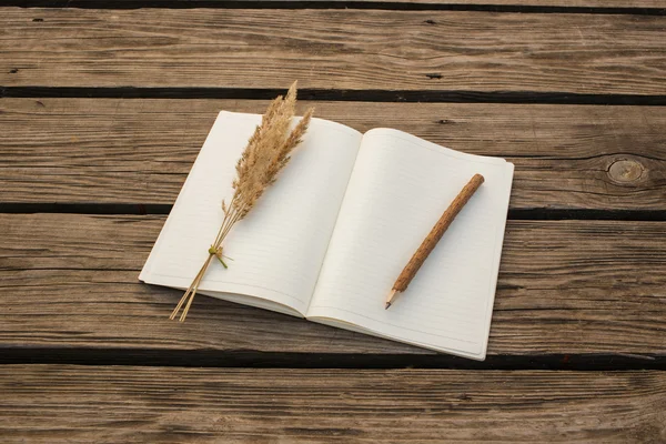 Cuaderno abierto en blanco y lápiz de madera sobre fondo de madera — Foto de Stock