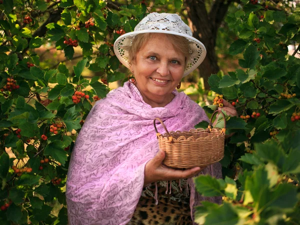 Mujer mayor usando un sombrero en un jardín recoge bayas — Foto de Stock