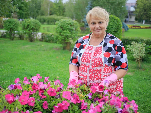 Mujer mayor feliz guante en el jardín mostrando flores de colores — Foto de Stock