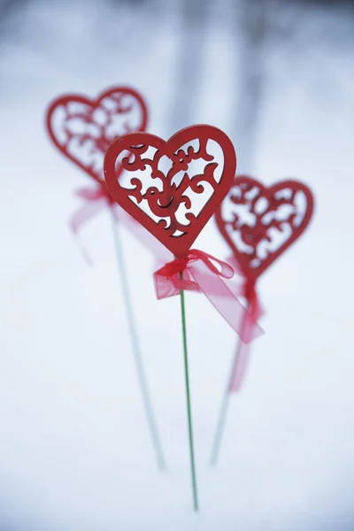 Fleur en bois rouge sur neige avec fond doux flou — Photo