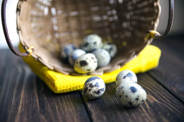 Easter quail eggs in the basket on rustic wooden background. Selective soft focus — Stock Photo, Image