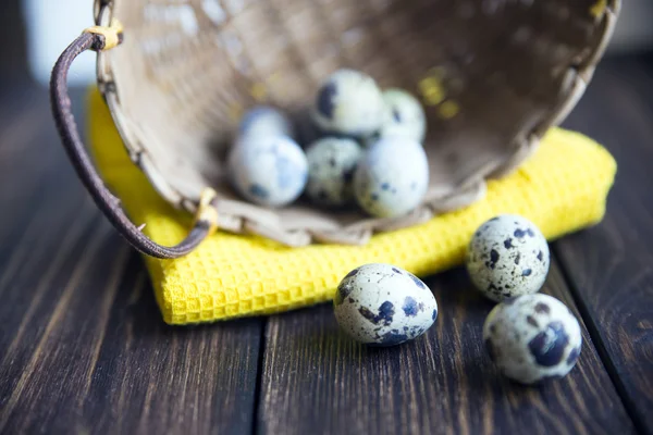 Easter quail eggs in the basket on rustic wooden background. Selective soft focus — Stock Photo, Image