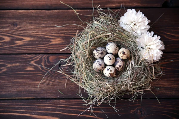 Easter quail eggs in the nest on rustic wooden background. Selective soft focus — Stock Photo, Image