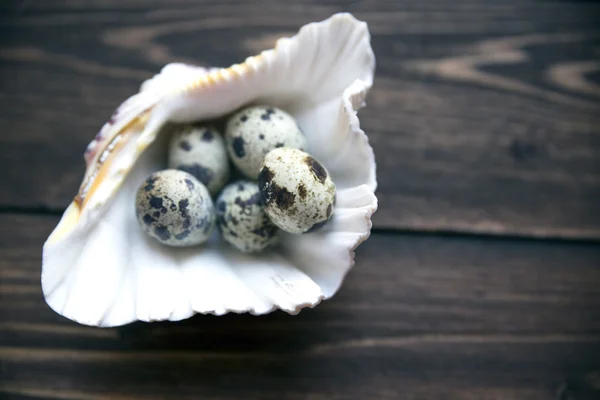 Quail egg in marine shell on the wooden table. Selective soft focuse — Stock Photo, Image