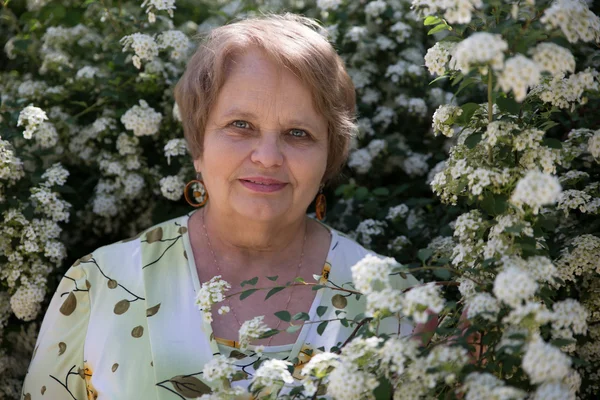 Mujer mayor bajo flor blanca de arbusto de Spiraea en un jardín — Foto de Stock