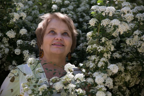 Senior woman looking up under white flower of Spiraea shrub in a garden — Stock Photo, Image