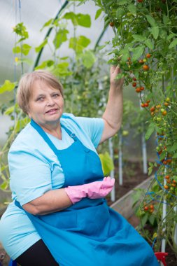 Serada önlük ve eldiven giymiş mutlu emekli kadın