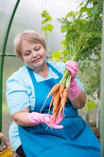 Smiling pensioner with carrot at green house — Stock Photo, Image
