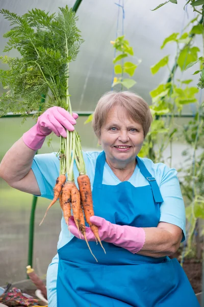 Smiling pensioner with carrot at green house — Stock Photo, Image