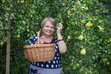 Sepet armut ağacının altında olan emekli kadın