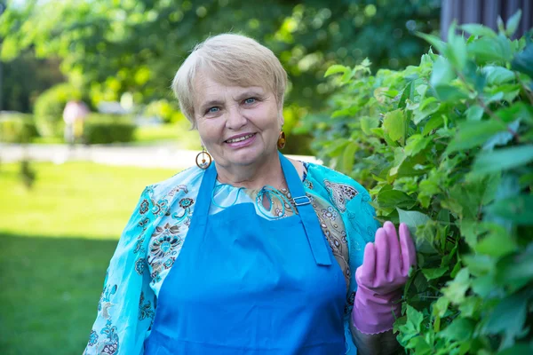 Senior pensionär kvinna klädd i blått förkläde med handskar — Stockfoto