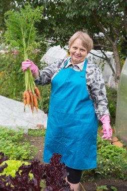 Havuç sebze bahçesi adlı kadınla emekli
