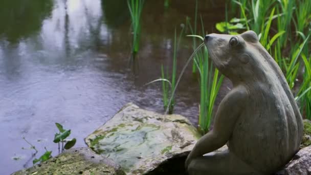 Escultura de rana — Vídeo de stock