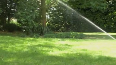 Yağmurlama ile çalışan kız