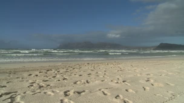 Freunde laufen am Strand entlang — Stockvideo